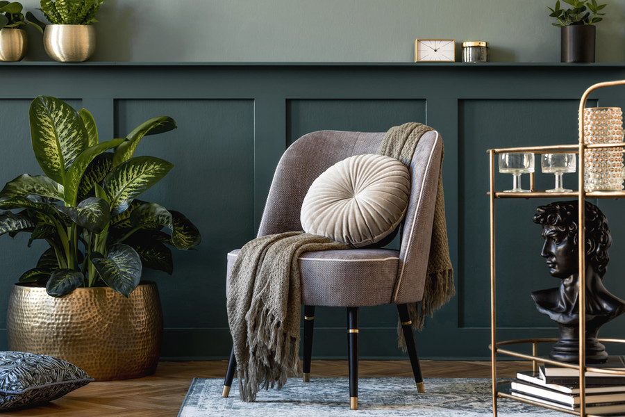 A calm therapy room with a chair and plants